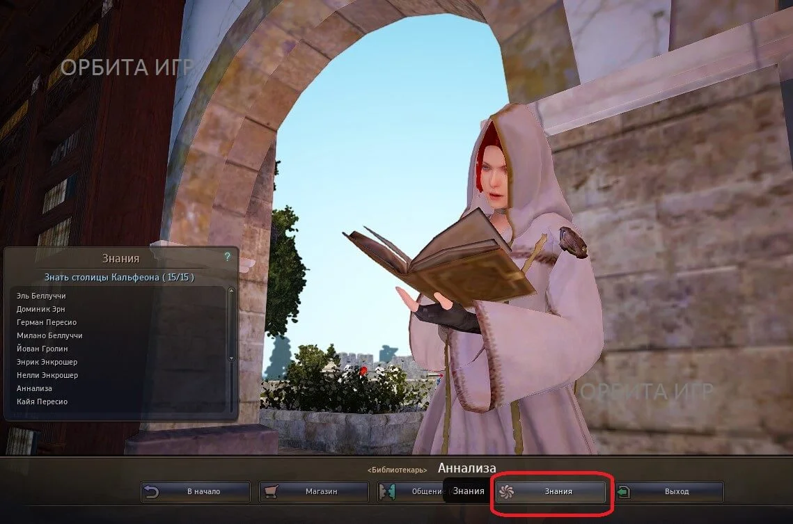 BDO Окно общения с Аннализа