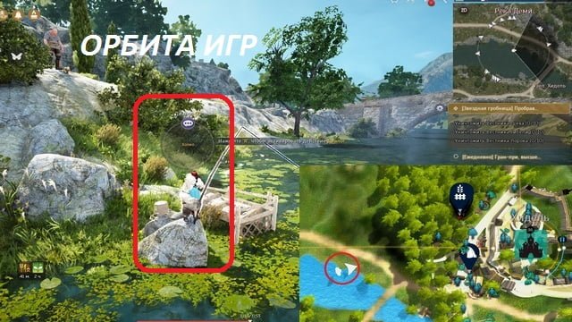 Black desert рыба клоун где ловить