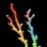 Разноцветный кусочек коралла