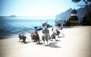 BDO Пафуакриния берег