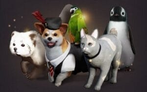 BDO питомцы