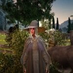 BDO премиум-торговец Элли