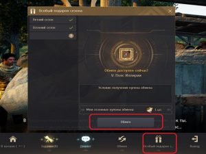 Black desert купон обмена основного оружия