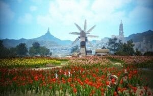 BDO тюльпаны Кальфеона