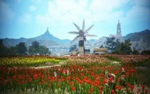 BDO тюльпаны Кальфеона