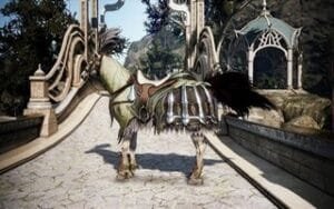 BDO сбруя Игнис