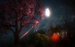 BDO Ночь и персонаж