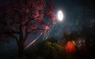 BDO Ночь и персонаж