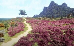 BDO страна утра