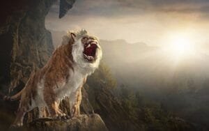 BDO тигровый перевал