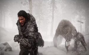 Crimson Desert зима