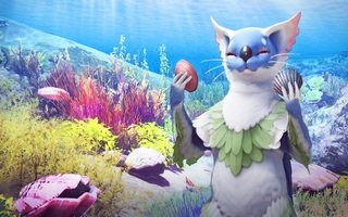 bdo-pafu